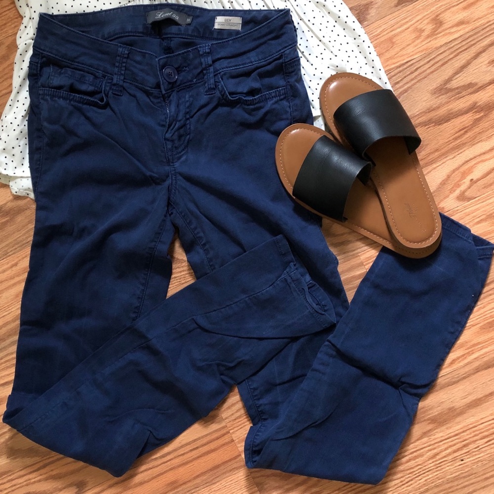 Level 99 Lily linen blend skinny straight pants